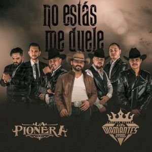 No Estás Me Duele (Single)