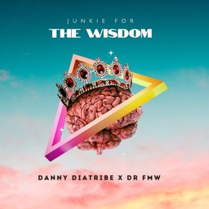 Junkie for the Wisdom (Single)