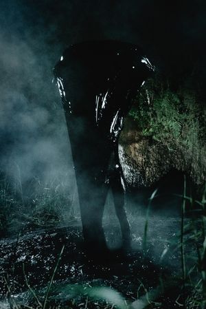 Private View: Joshua Serafin