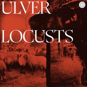 Locusts (Single)