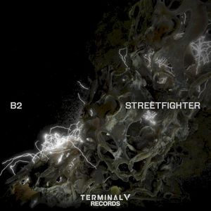 Streetfighter (Single)