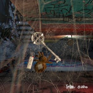 Dona Aranha (Single)