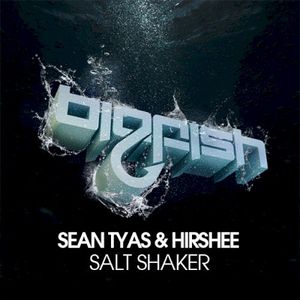 Salt Shaker (Single)