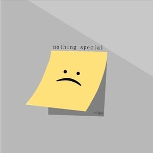 Nothing Special (Single)