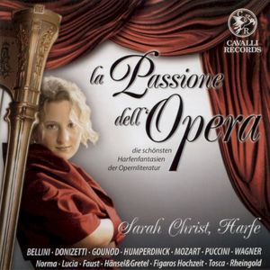 La Passione dell'Opera