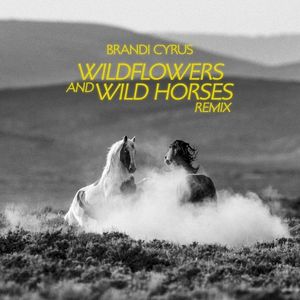 Wildflowers and Wild Horses (remix) (Single)