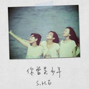 你曾是少年 (Single)