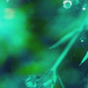 Flutter (EP)