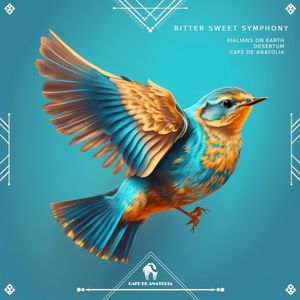 Bitter Sweet Symphony (Single)