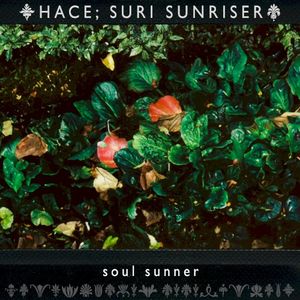 soul sunner (Single)