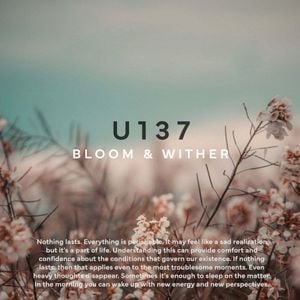 Bloom & Wither (Single)