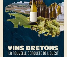 image-https://media.senscritique.com/media/000022393953/0/vins_bretons_la_nouvelle_conquete_de_l_ouest.jpg