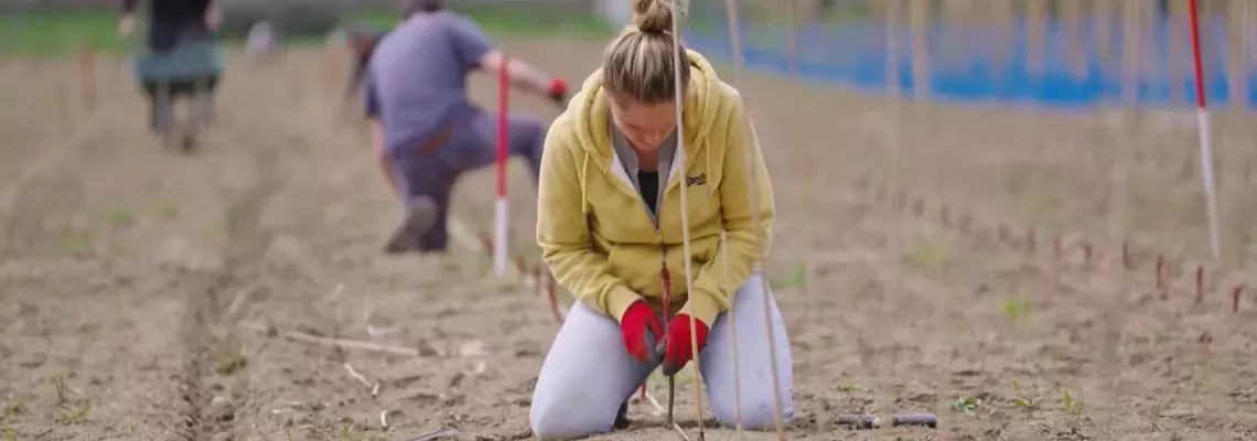 Cover Vins bretons - La nouvelle conquête de l'Ouest