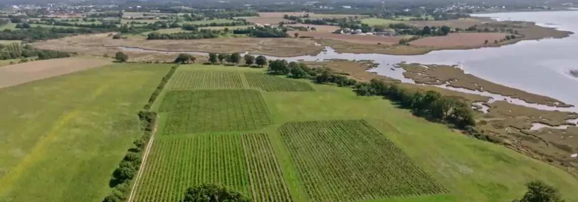 Cover Vins bretons - La nouvelle conquête de l'Ouest