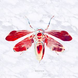 Plimbo (Single)