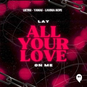 Lay All Your Love On Me (Single)