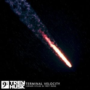 Terminal Velocity (extended DJ version) (Single)