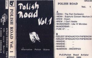 Polish Road