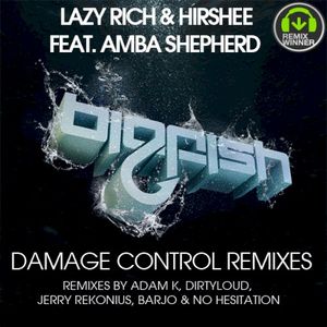 Damage Control (No Hesitation remix)