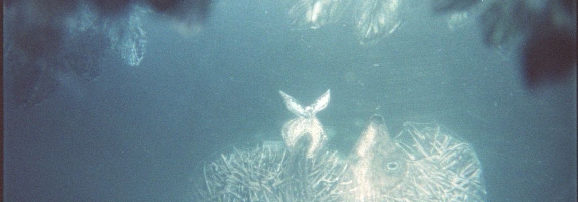 Cover Le Conte des contes - Les films de Youri Norstein