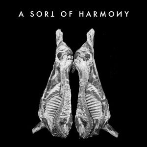 A Sort of Harmony: 2021-2023 Remixes