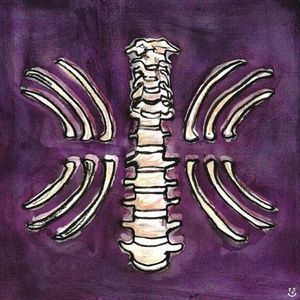 Vertebrae (Single)