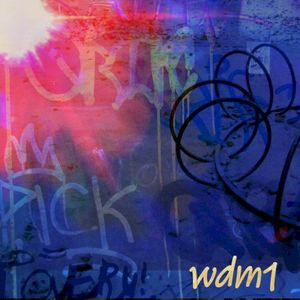 wdm1
