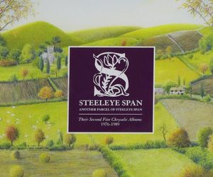 Another Parcel of Steeleye Span: Their Second Five Chrysalis Albums 1976-1989