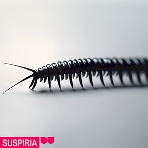 Suspiria (EP)