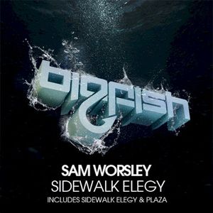 Sidewalk Elegy EP (EP)