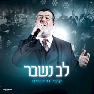 לב נשבר (Single)