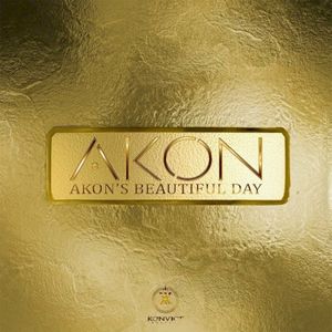 Akon's Beautiful Day (Single)