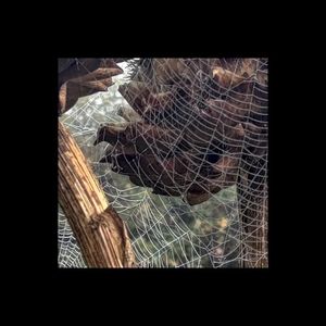 Limekiln / Waste (Single)