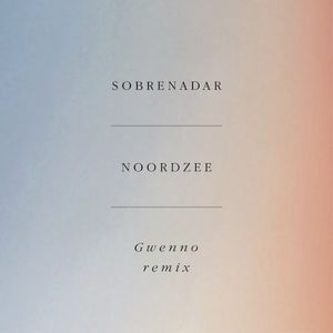 Noordzee (Gwenno Remix)