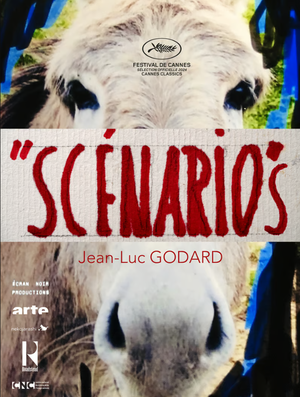 Scénarios