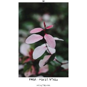 Forgetting You (Single)