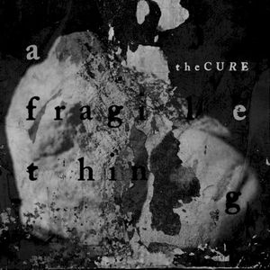 A Fragile Thing (Single)