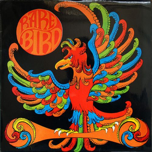 Cover Rare Bird