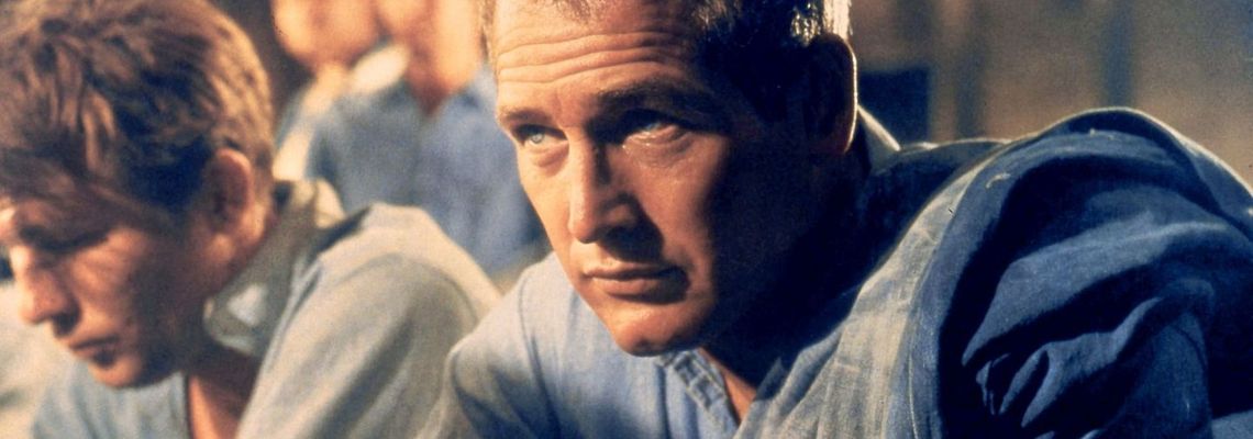 Cover Paul Newman, l'intranquille