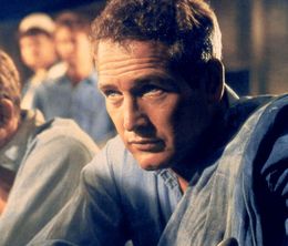 image-https://media.senscritique.com/media/000022412799/0/paul_newman_l_intranquille.jpg