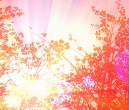 image-https://media.senscritique.com/media/000022413693/0/a_wolf_in_autumn.jpg