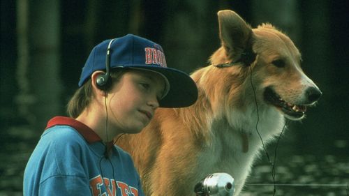 Film avec des animaux