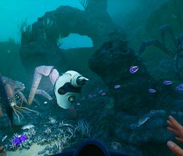 image-https://media.senscritique.com/media/000022416829/0/subnautica_2.jpg