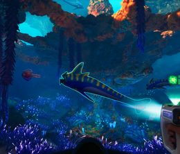 image-https://media.senscritique.com/media/000022416831/0/subnautica_2.jpg