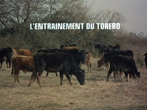 L'entrainement du torero