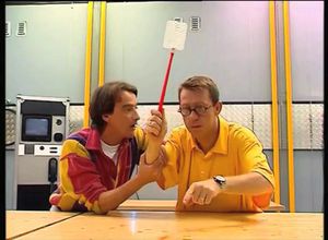 La disparition des abeilles