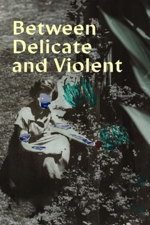 Between delicate and violent