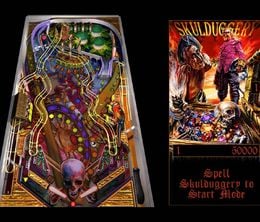 image-https://media.senscritique.com/media/000022422906/0/full_tilt_pinball.jpg