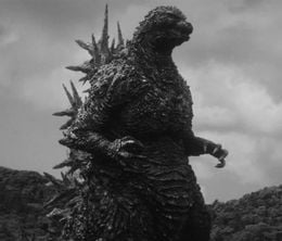 image-https://media.senscritique.com/media/000022426372/0/godzilla_minus_one_minus_color.jpg