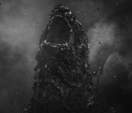 image-https://media.senscritique.com/media/000022426373/0/godzilla_minus_one_minus_color.jpg